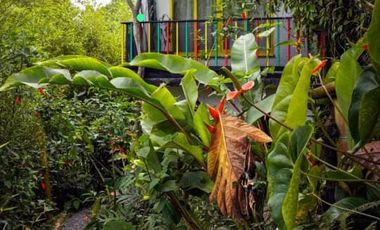 VENTA DE FINCA FILANDIA