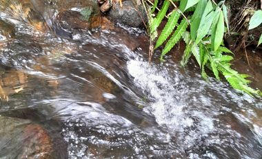 VENTA DE FINCA FILANDIA