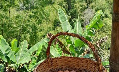 VENTA DE FINCA FILANDIA