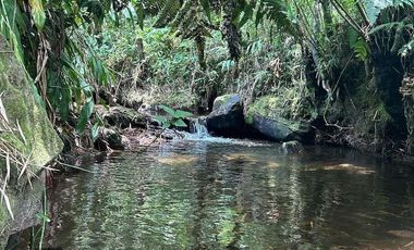 VENTA DE FINCA FILANDIA