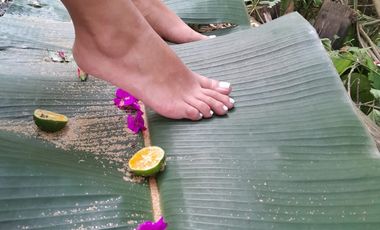 VENTA DE FINCA FILANDIA