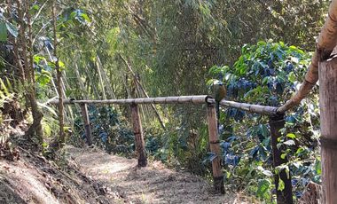 VENTA DE FINCA FILANDIA