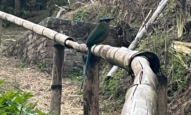 VENTA DE FINCA FILANDIA