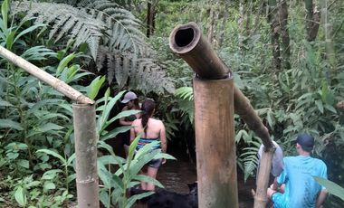 VENTA DE FINCA FILANDIA