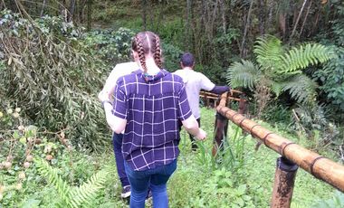 VENTA DE FINCA FILANDIA