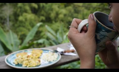 VENTA DE FINCA FILANDIA