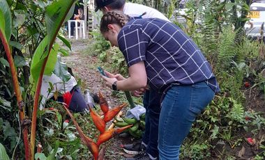 VENTA DE FINCA FILANDIA