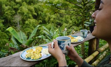 VENTA DE FINCA FILANDIA