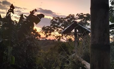 VENTA DE FINCA FILANDIA