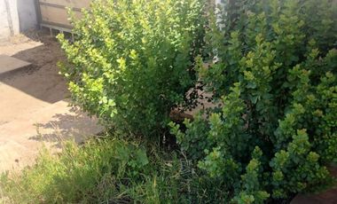 Arriendo Casa en Manantiales del Inca – Quillota