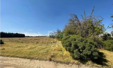 Terreno rústico con arboles frutales