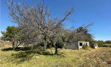 Terreno rústico con arboles frutales