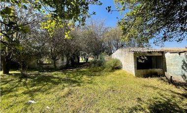 Terreno rústico con arboles frutales