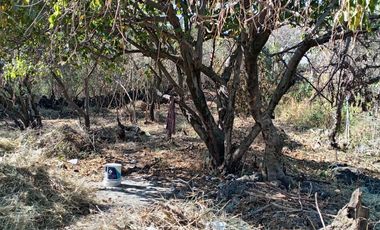 Tepoztlan Morelos Col. Del Carmen Terreno Plano Rectangular En Venta
