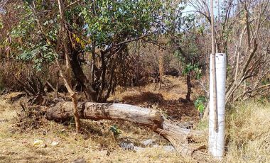 Tepoztlan Morelos Col. Del Carmen Terreno Plano Rectangular En Venta