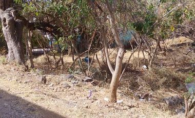 Tepoztlan Morelos Col. Del Carmen Terreno Plano Rectangular En Venta