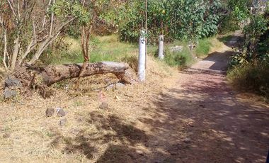 Tepoztlan Morelos Col. Del Carmen Terreno Plano Rectangular En Venta