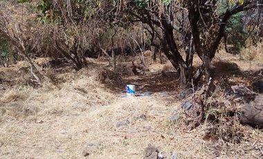 Tepoztlan Morelos Col. Del Carmen Terreno Plano Rectangular En Venta