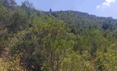 Terreno para proyecto turístico