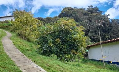 VENTA DE FINCA DE 50.700 MT2, SE PUEDE DIVIDIR EN 5 LOTES, CON ESPECTACULAR VISTA A LA PIEDRA DEL PEÑOL, EL PEÑOL, ANTIOQUIA