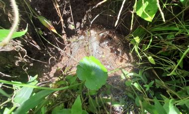 VENTA DE FINCA DE 50.700 MT2, SE PUEDE DIVIDIR EN 5 LOTES, CON ESPECTACULAR VISTA A LA PIEDRA DEL PEÑOL, EL PEÑOL, ANTIOQUIA