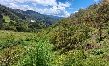 VENTA DE FINCA DE 50.700 MT2, SE PUEDE DIVIDIR EN 5 LOTES, CON ESPECTACULAR VISTA A LA PIEDRA DEL PEÑOL, EL PEÑOL, ANTIOQUIA