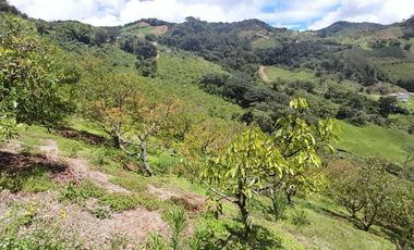 VENTA DE FINCA DE 50.700 MT2, SE PUEDE DIVIDIR EN 5 LOTES, CON ESPECTACULAR VISTA A LA PIEDRA DEL PEÑOL, EL PEÑOL, ANTIOQUIA