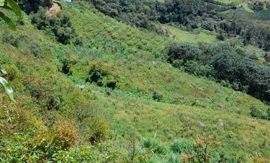 VENTA DE FINCA DE 50.700 MT2, SE PUEDE DIVIDIR EN 5 LOTES, CON ESPECTACULAR VISTA A LA PIEDRA DEL PEÑOL, EL PEÑOL, ANTIOQUIA
