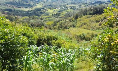 VENTA DE FINCA DE 50.700 MT2, SE PUEDE DIVIDIR EN 5 LOTES, CON ESPECTACULAR VISTA A LA PIEDRA DEL PEÑOL, EL PEÑOL, ANTIOQUIA