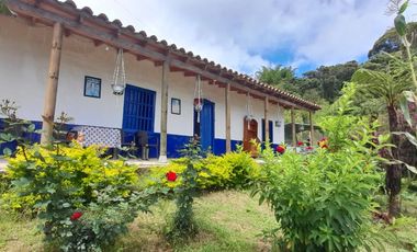 VENTA DE FINCA DE 50.700 MT2, SE PUEDE DIVIDIR EN 5 LOTES, CON ESPECTACULAR VISTA A LA PIEDRA DEL PEÑOL, EL PEÑOL, ANTIOQUIA