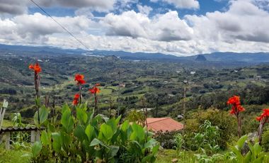 VENTA DE FINCA DE 50.700 MT2, SE PUEDE DIVIDIR EN 5 LOTES, CON ESPECTACULAR VISTA A LA PIEDRA DEL PEÑOL, EL PEÑOL, ANTIOQUIA