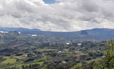 VENTA DE FINCA DE 50.700 MT2, SE PUEDE DIVIDIR EN 5 LOTES, CON ESPECTACULAR VISTA A LA PIEDRA DEL PEÑOL, EL PEÑOL, ANTIOQUIA