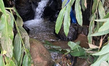 VENTA DE FINCA DE 50.700 MT2, SE PUEDE DIVIDIR EN 5 LOTES, CON ESPECTACULAR VISTA A LA PIEDRA DEL PEÑOL, EL PEÑOL, ANTIOQUIA