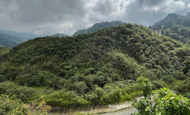 ARRIENDO APARTAMENTO EN EL BARRIO LA SULTANA, MANIZALES