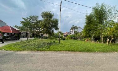 Tanah Jalan Bersama 11, Demang Lebar Daun