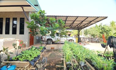 Modern Loft Style 4 BRM, 3 BATH Home For Sale In Pho Chai, Nong Khai, Thailand