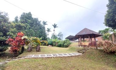 Villa Rumah kebun cantik Katumiri,Cihanjuang Bandung Barat