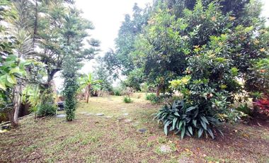 Villa Rumah kebun cantik Katumiri,Cihanjuang Bandung Barat