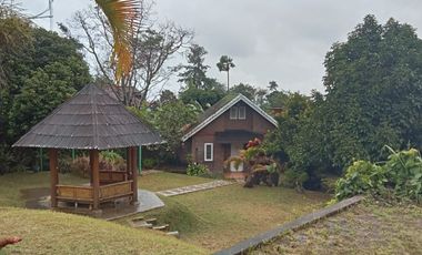 Villa Rumah kebun cantik Katumiri,Cihanjuang Bandung Barat