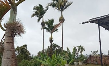 Villa Rumah kebun cantik Katumiri,Cihanjuang Bandung Barat