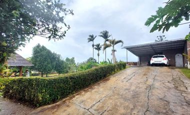 Villa Rumah kebun cantik Katumiri,Cihanjuang Bandung Barat