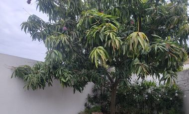 Casa esquinera en alquiler en Estancias del Río Samborondón | 4 dormitorios frente al área social