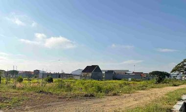 Tanah kavling dekat pabrik di desa padakaton ketanggungan brebes