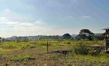 Tanah kavling dekat pabrik di desa padakaton ketanggungan brebes