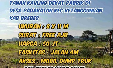 Tanah kavling dekat pabrik di desa padakaton ketanggungan brebes