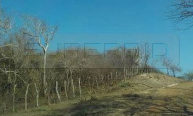 TERRENOS BOCATOCINO: MORRO DE ZAMBA, BOCA LA BARRA Y LA LUCHA DE 620000