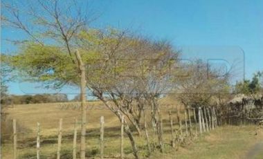 TERRENOS BOCATOCINO: MORRO DE ZAMBA, BOCA LA BARRA Y LA LUCHA DE 620000