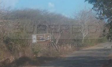 TERRENOS BOCATOCINO: MORRO DE ZAMBA, BOCA LA BARRA Y LA LUCHA DE 620000