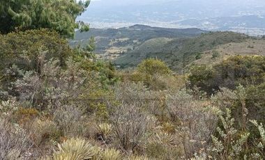 TERRENO RURAL LOTE B VEREDA DIRAVITA ALTO DE 94 M2