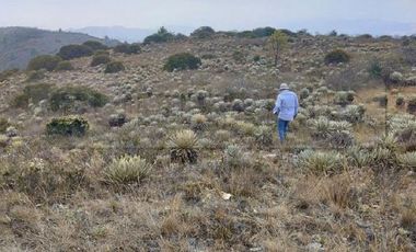 TERRENO RURAL LOTE B VEREDA DIRAVITA ALTO DE 94 M2